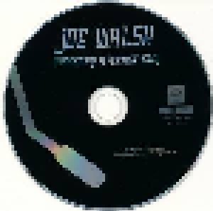 Joe Walsh: Ordinary Avarage Guy / Songs For A Dying Planet (2-CD) - Bild 3