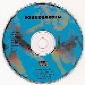 Soundgarden: Screaming Life / Fopp (CD) - Bild 5