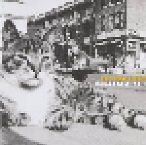 Billy Bragg & Wilco: Mermaid Avenue Vol. II (CD) - Bild 1