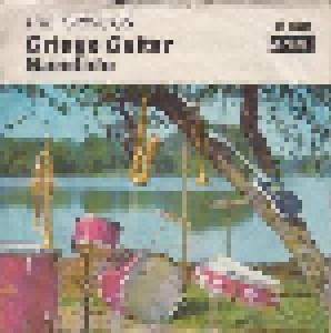 Cover - Gringos, The: Gringo Guitar