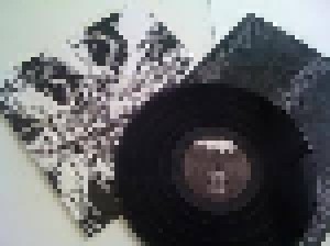 Profanal: Black Chaos (LP) - Bild 2