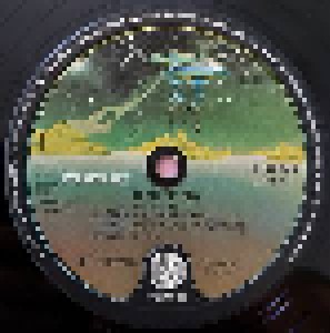 Def Leppard: High 'n' Dry (LP) - Bild 5