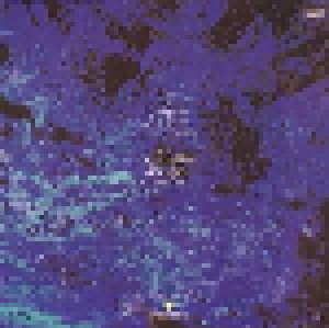 Echo & The Bunnymen: Ocean Rain (LP) - Bild 2