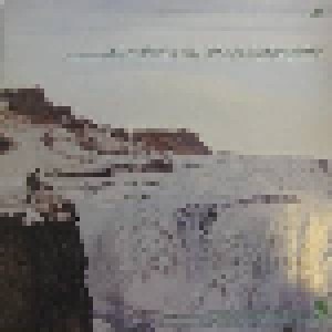 Echo & The Bunnymen: Porcupine (LP) - Bild 2