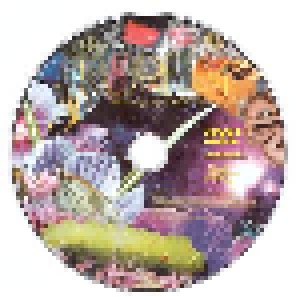 Die Türen: Unterwegs Mit Mother Earth (CD + DVD) - Bild 4