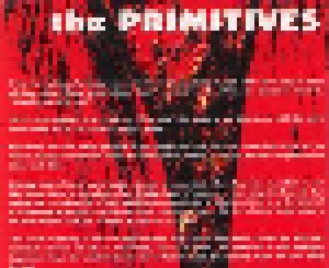 The Primitives: Buzz Buzz Buzz (CD) - Bild 3