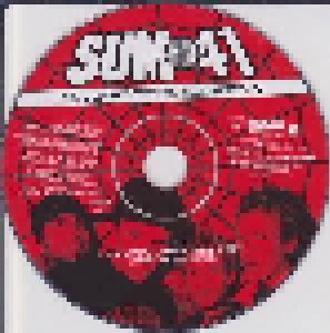 Sum 41: It's What We're All About (Single-CD) - Bild 2