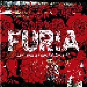 Cover - Furia: ... And Then We Married The World
