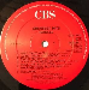 The Bangles: Greatest Hits (LP) - Bild 5