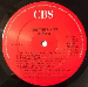 The Bangles: Greatest Hits (LP) - Bild 6