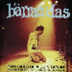 The Barracudas: Two Sides Of A Coin [1979-84] (CD) - Bild 1