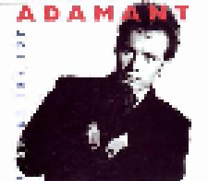 Adam Ant: Room At The Top - Cover