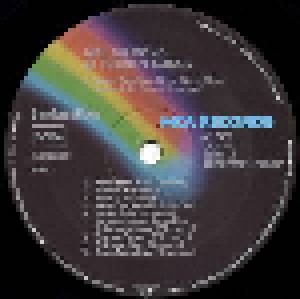 Neil Diamond: 20 Golden Songs (LP) - Bild 4