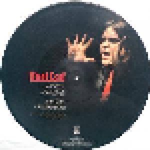Meat Loaf: If You Really Want To (PIC-12") - Bild 2