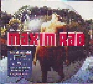 Maxim Rad: What Would You Do (Single-CD) - Bild 1