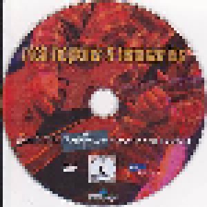 Rich Hopkins & Luminarios: Live At The Rockpalast Crossroads Festival (2-CD + DVD) - Bild 9