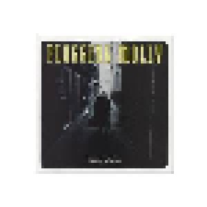 Flogging Molly: Drunken Lullabies (LP) - Bild 1