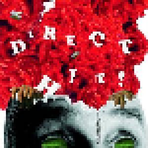 Cover - Direct Hit!: Domesplitter
