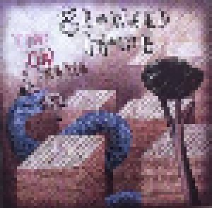 Crowded House: Time On Earth (CD) - Bild 1