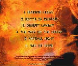 Arkan: Burning Flesh (Mini-CD / EP) - Bild 5