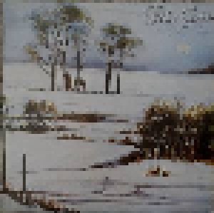 Peter Green: White Sky (LP) - Bild 1