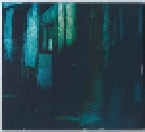James LaBrie: Impermanent Resonance (CD) - Bild 2