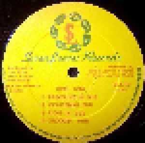 Lee Perry: Megaton Dub 2 (LP) - Bild 2