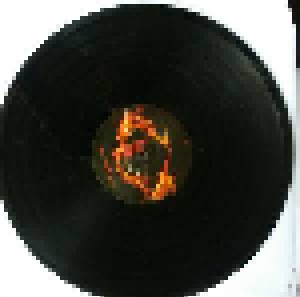 The Best Of Skrillex Vol.1 (2-12") - Bild 5