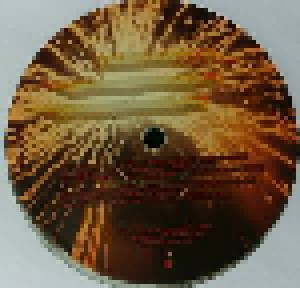 The Best Of Skrillex Vol.1 (2-12") - Bild 6
