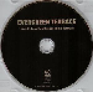 Evergreen Terrace: Sincerity Is An Easy Disguise In This Business (Promo-CD) - Bild 3
