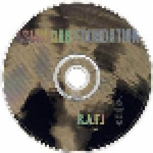 Asian Dub Foundation: R.A.F.I (CD) - Bild 3