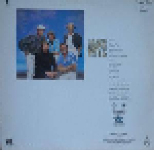 The Beach Boys: The Beach Boys (LP) - Bild 2