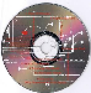 Chris Squire & Billy Sherwood: Conspiracy (CD) - Bild 5