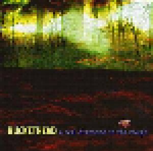 Buckethead: A Real Diamond In The Rough (CD) - Bild 1