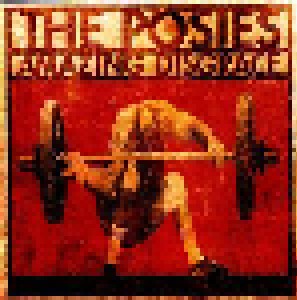 The Posies: Amazing Disgrace (LP) - Bild 1
