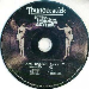 Thunderstick: Echoes From The Analogue Asylum (CD) - Bild 2