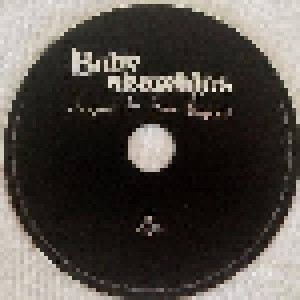 Babyshambles: Sequel To The Prequel (LP + CD) - Bild 10