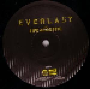 Everlast: The Life Acoustic (LP + CD) - Bild 3