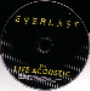 Everlast: The Life Acoustic (LP + CD) - Bild 4