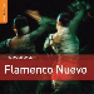 Cover - Diego Amador: Rough Guide To Flamenco Nuevo, The