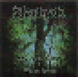 Darkfall: Dimensions Beyond + Winter Leaves (Demo-CD) - Bild 1