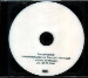 Die Toten Hosen: 3 Akkorde Für Ein Halleluja (2-Promo-DVD) - Bild 2