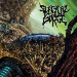 Septycal Gorge: Growing Seeds Of Decay (CD) - Bild 1