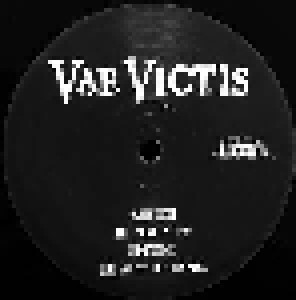 Zerstörer + Vae Victis: Operation Goattank / Evilution (Split-LP) - Bild 4