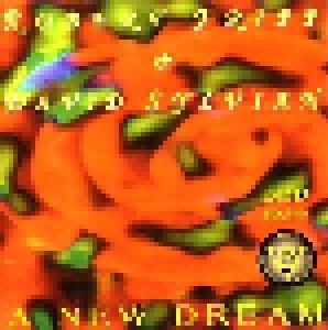 Cover - David Sylvian & Robert Fripp: New Dream, A