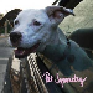 Cover - Pet Symmetry: Two Songs About Cars. Two Songs With Long Titles.