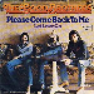 Cover - Good Brothers, The: Please Come Back To Me