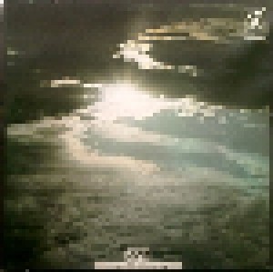 Peter Green: In The Skies (LP) - Bild 4