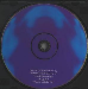 Lilys: Eccsame The Photon Band (CD) - Bild 3
