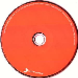 Kings Of Leon: Mechanical Bull (CD) - Bild 5